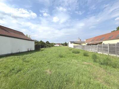 Grundstück kaufen in 3435 Zwentendorf (Bild 5)