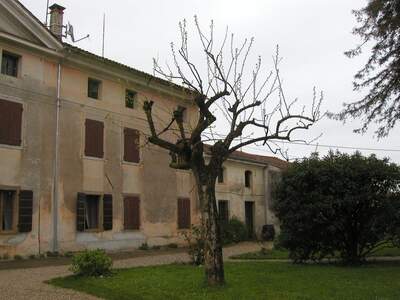 Haus kaufen in 33042 Buttrio UD (Bild 5)