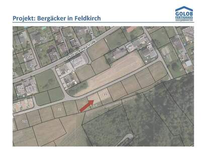 Haus kaufen in 6800 Feldkirch