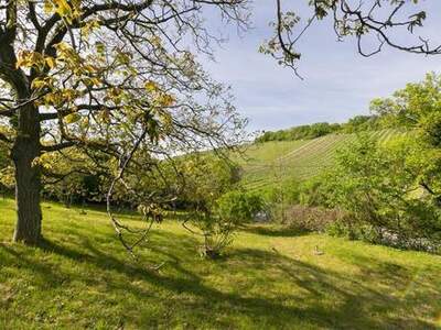 Grundstück kaufen in 1190 Wien