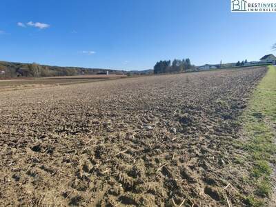 Grundstück kaufen in 8261 Sinabelkirchen (Bild 4)