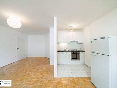 Wohnung kaufen in 1190 Wien