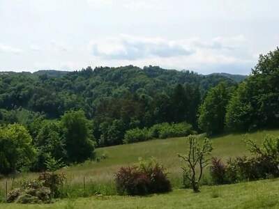 Plot / Land provisionsfrei kaufen in 8451 Unterfahrenbach