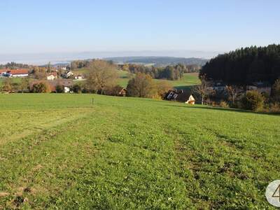 Gewerbeobjekt kaufen in 4713 Gallspach