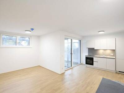 Wohnung mieten in 1190 Wien (Bild 1)