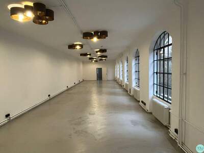Gewerbeobjekt mieten in 1060 Wien (Bild 4)