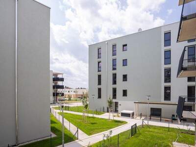 Terrassenwohnung kaufen in 2700 Wr. Neustadt (Bild 5)