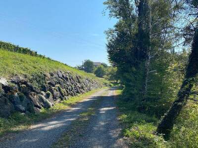 Gewerbeobjekt kaufen in 8462 Leutschach (Bild 4)