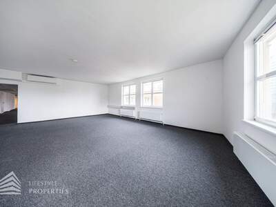 Gewerbeobjekt mieten in 1010 Wien (Bild 4)