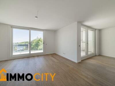 Terrassenwohnung mieten in 1130 Wien (Bild 1)