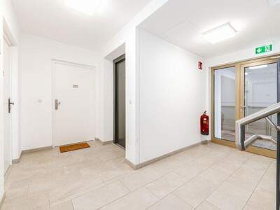 Terrassenwohnung mieten in 1060 Wien (Bild 3)