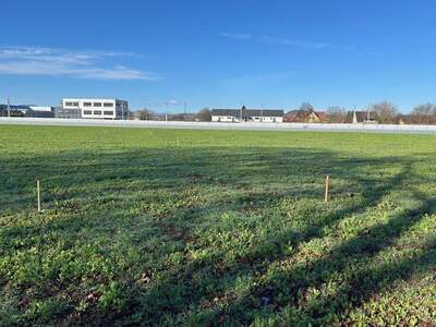 Grundstück kaufen in 8403 Lebring (Bild 3)