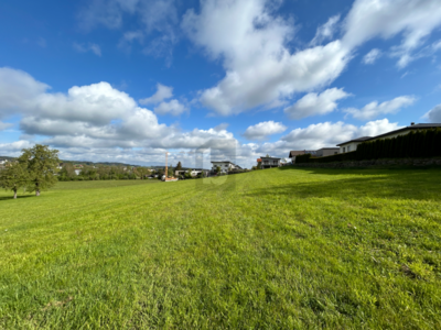 Grundstück kaufen in 5251 Höhnhart