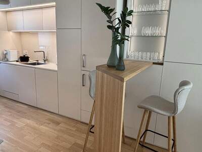 Terrassenwohnung mieten in 1210 Wien (Bild 2)