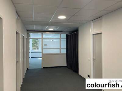 Gewerbeobjekt mieten in 1050 Wien (Bild 3)