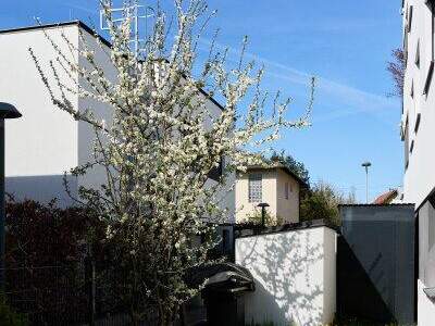 Terrassenwohnung kaufen in 1230 Wien (Bild 5)
