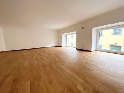 Gewerbeobjekt mieten in 1130 Wien (Bild 4)