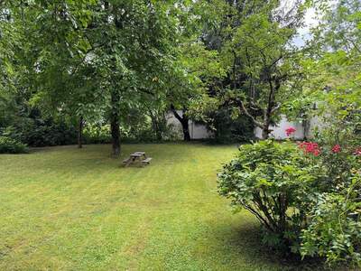 Wohnung provisionsfrei mieten in 6020 Innsbruck