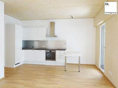 Wohnung mit Balkon mieten in 5310 Mondsee (Bild 4)