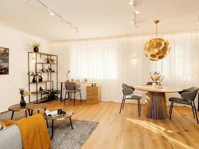 Terrassenwohnung kaufen in 1010 Wien (Bild 3)