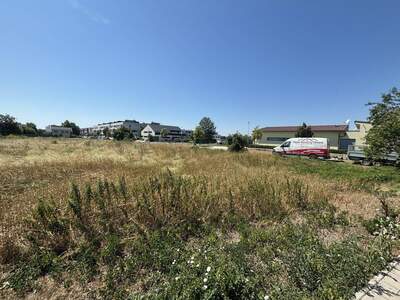 Grundstück kaufen in 7100 Neusiedl