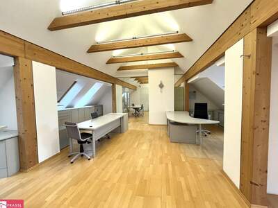 Gewerbeobjekt mieten in 8042 Graz (Bild 5)