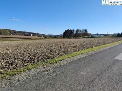 Grundstück kaufen in 8261 Sinabelkirchen (Bild 3)