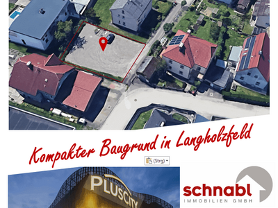 Grundstück kaufen in 4061 Langholzfeld