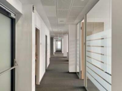 Gewerbeobjekt mieten in 1230 Wien (Bild 4)