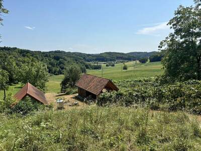 Haus kaufen in 7545 Neustift