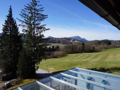 Haus kaufen in 5303 Thalgau