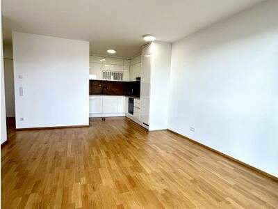 Terrassenwohnung mieten in 1230 Wien (Bild 5)