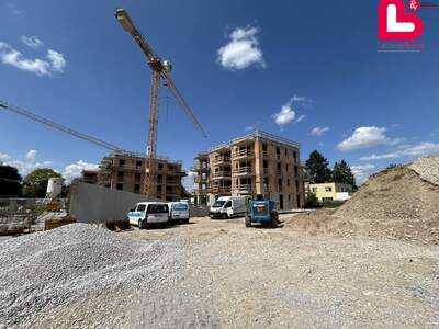 Wohnung mieten in 4650 Edt
