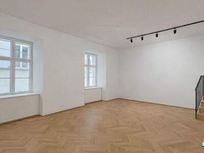 Gewerbeobjekt mieten in 1010 Wien (Bild 3)