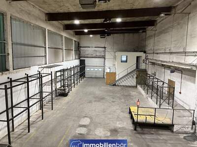 Gewerbeobjekt mieten in 4600 Thalheim (Bild 1)