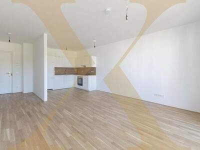 Terrassenwohnung mieten in 4020 Linz (Bild 1)