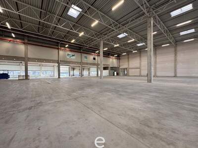 Gewerbeobjekt mieten in 4470 Enns (Bild 4)