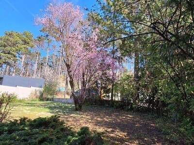 Haus kaufen in 2130 Mistelbach