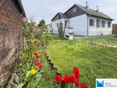 Haus kaufen in 1230 Wien