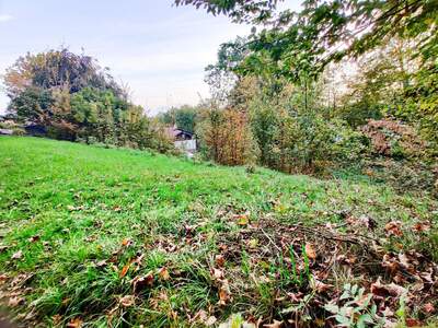 Grundstück kaufen in 4650 Lambach (Bild 3)