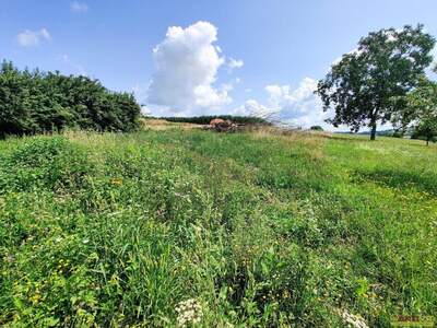 Grundstück kaufen in 4713 Gallspach