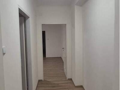 Mietwohnung provisionsfrei in 2514 Möllersdorf