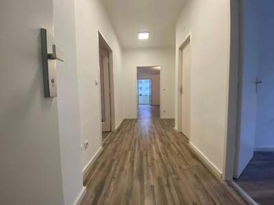 Wohnung mieten in 3500 Krems