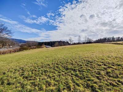 Grundstück kaufen in 8101 Gratkorn (Bild 4)