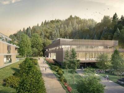 Gewerbeobjekt kaufen in 8044 Graz