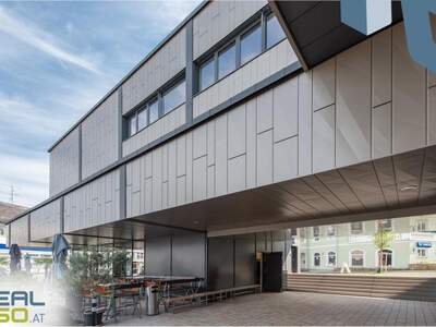 Gewerbeobjekt mieten in 4150 Rohrbach (Bild 5)