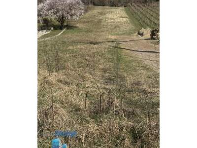 Grundstück kaufen in 2103 Langenzersdorf