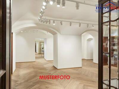 Einzelhandel mieten in 1010 Wien (Bild 2)