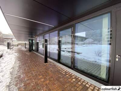 Gewerbeobjekt mieten in 1220 Wien (Bild 2)