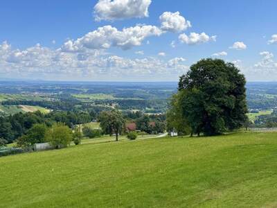Haus kaufen in 8510 Stainz (Bild 4)
